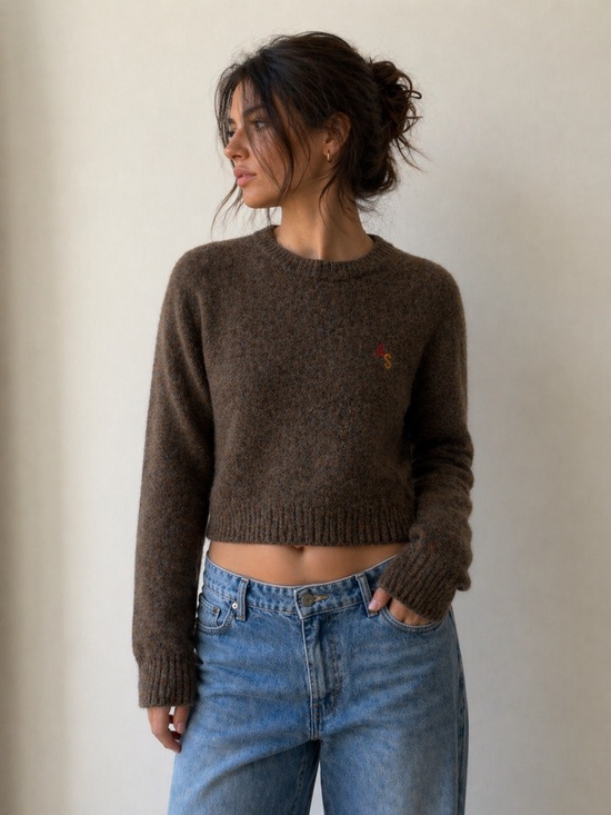 Acne Studios Sweaters - Acne Studios 100% Wool Sweater Womens S/M Brown Cropped Crewneck Luxury Knit